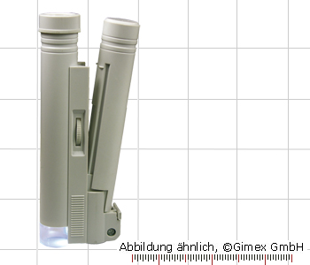 Stab-Mikroskop mit LED-Beleuchtung 100X